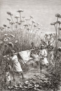 Dr. David Livingstone bärs de sista milen till byn Tchitammbo, Afrika, strax före sin död, illustration från "The World in the Hands", graverad av Henri Theophile Hildibrand av Edouard Riou