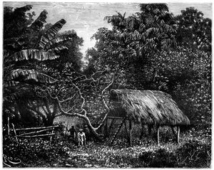 Guyana, Sydamerika, 1800-talet av Edouard Riou