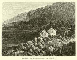 Hacienda och Cacao-plantage av Tian-tian av Edouard Riou