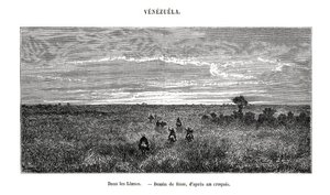 Los Llanos, Venezuela, 1800-talet av Edouard Riou
