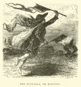 Huyfalla, eller man-fågel av Edouard Riou