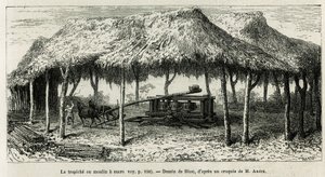Trapichen, eller sockerkvarnen för att mala käpparna i Panche (Colombia), teckning av Riou, för att illustrera historien om Equinoxiale America (Colombia, Ecuador, Peru), 1875-1876, av Ed. andre, resemissionsavgift av den franska regeringen. Gravyr i Le t av Edouard Riou