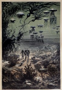 Undervattensgolv. Illustration av Edouard Riou (1833-1900) för romanen "Tjugo tusen ligor under havet"" av Jules Verne (1828-1905) 1800-talets privatsamling