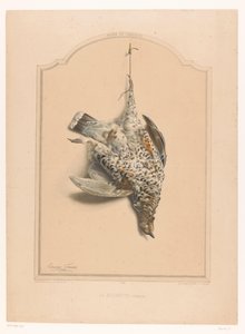 Död halsbandshöns hängande på ett ben La gélinotte (hona) (titel på objekt) Jägarens museum (serietitel) Musée du chasseur (serietitel på föremål) av Edouard Travies