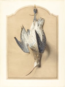 Trompe lOeil: A Curlew Hanging from a Nail av Edouard Travies