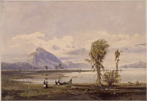 Utsikt över Lagoa Rodrigo de Freitas nära Rio de Janeiro