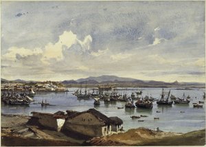 Utsikt över Rio de Janeiro av Eduard Hildebrandt