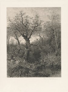 Höst av Eduard Willmann, after Eduard Marak