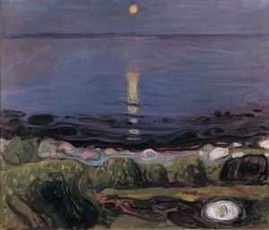 Sommarnatt vid stranden