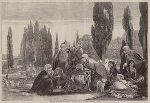 Souvenir of Scutari  av Edward A. Armitage