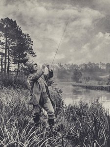 En knölig punkt (svartvitt foto)