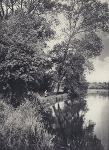 Under de stora popplarna vid Houghton Water (svartvitt foto)