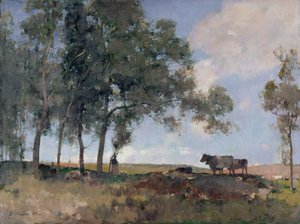 Höstsolsken, 1884