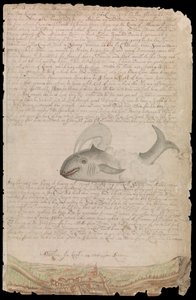 Plansch från Edward Barlows dagbok om sitt liv till sjöss på kungens skepp, Ost- och Västindienfarare och andra handelsfartyg från 1659 till 1703. av Edward Barlow