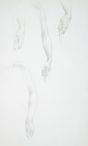 Studier av armar och händer (framsidan); Studie av kvinnlig torso (baksidan) av Edward Burne-Jones