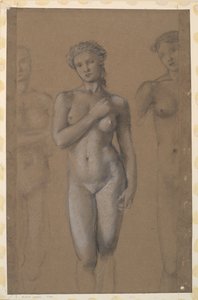 Female Naken - Tre studier, möjligen för Venus