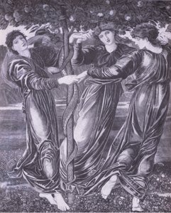 Hesperides trädgård, Bibby