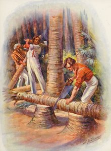 Illustration till Masterman Ready av Captain Marryat (färglitografi)