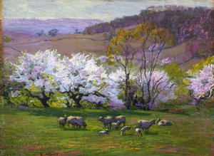 Blossom Time,