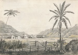En vy av Hall-head Sugar Plantation, Jamaica av Edward Kennion