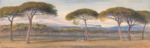 Utsikt över tallskogen ovanför Cannes av Edward Lear