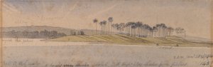 Dhoura Island av Edward Lear