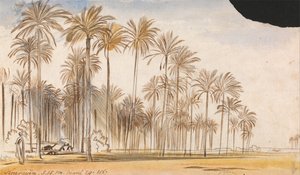 Kourayim av Edward Lear