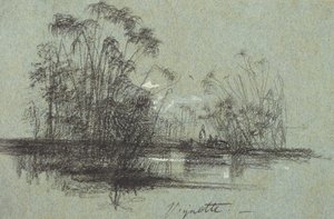 Papyrus på Anapus, från Views of Sicilien (svart krita & kroppsfärg på blått papper) av Edward Lear