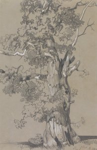 Parham, 13 oktober 1834 av Edward Lear