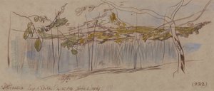 Pettenasco, sjön Orta av Edward Lear