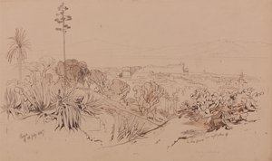 Reggio, den 26 juli 1847 av Edward Lear
