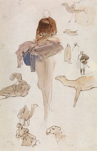 Studier av kameler av Edward Lear