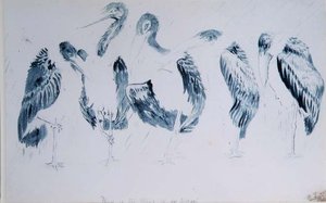 Studier av storkar av Edward Lear