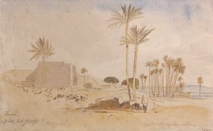 Tapha, kl. 07.50, den 17 februari 1867 av Edward Lear