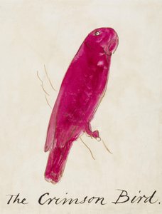 The Crimson Bird, från sexton teckningar av komiska fåglar (penna och bläck wc på papper) av Edward Lear