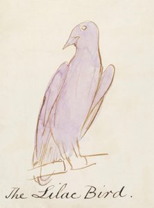 The Lilac Bird, från sexton teckningar av komiska fåglar (penna och bläck wc på papper) av Edward Lear