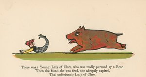 Det fanns en ung dam av Clare, som blev galet förföljd av en björn från "A Book of Nonsense", utgiven av Frederick Warne and Co., London, ca 1875 av Edward Lear