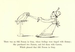 Det fanns en gammal person i grått, vars känslor var färgade av bestörtning av Edward Lear