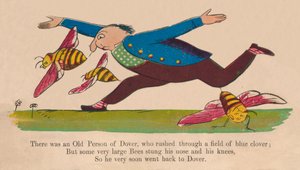 Det fanns en gammal person från Dover..., c1840-talet. av Edward Lear