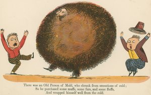 Det var en gammal person av mögel, som krympte från förnimmelser av kyla, från "A Book of Nonsense", utgiven av Frederick Warne and Co., London, ca 1875 av Edward Lear