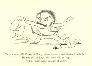 Det fanns en gammal person från Newry, vars sätt var tinturerade av raseri av Edward Lear