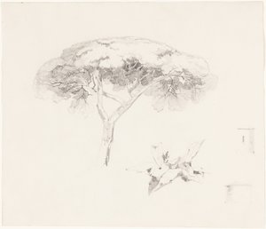 Paraplytall och andra studier av Edward Lear