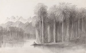 Wady Feiran, Sinaibergets halvö av Edward Lear