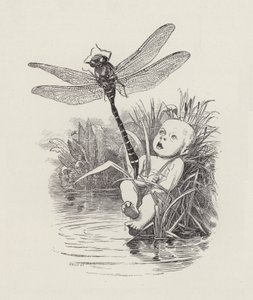 Illustration för The Water-Babies av Charles Kingsley (gravyr) av Edward Linley (after) Sambourne