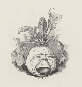 Illustration för The Water-Babies av Charles Kingsley (gravyr) av Edward Linley (after) Sambourne