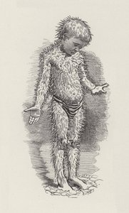 Illustration för The Water-Babies av Charles Kingsley (gravyr) av Edward Linley (after) Sambourne
