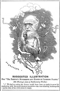 Charles Darwin, engelsk naturforskare, 1875