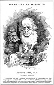 Richard Owen, engelsk zoolog, 1884 av Edward Linley Sambourne