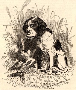 William GGV Vernon Harcourt (1827-1904) av Edward Linley Sambourne