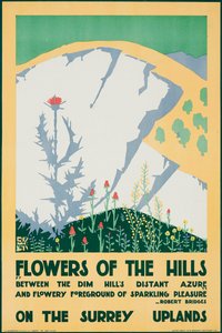 Blommor i bergen, på högländerna i Surrey